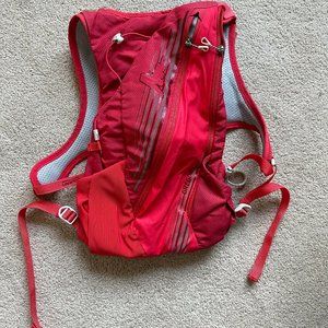 Gregory running pack